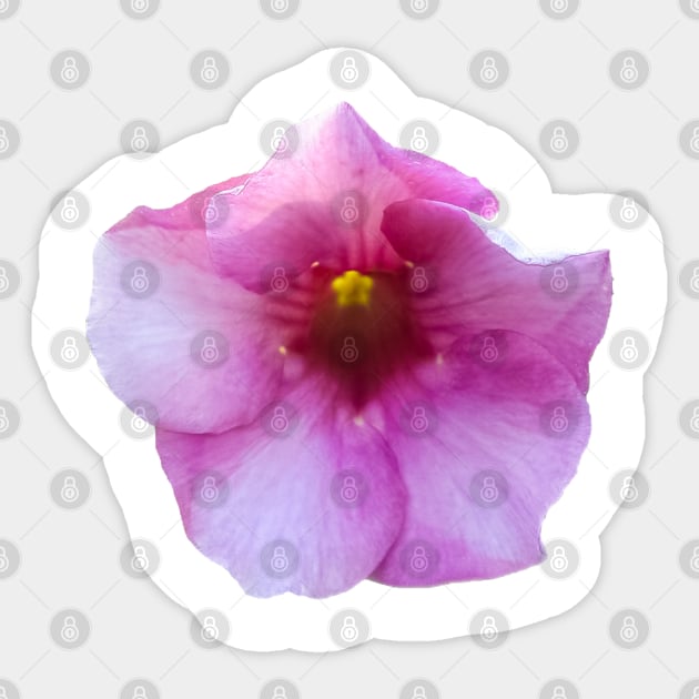 flower Sticker by rickylabellevie
